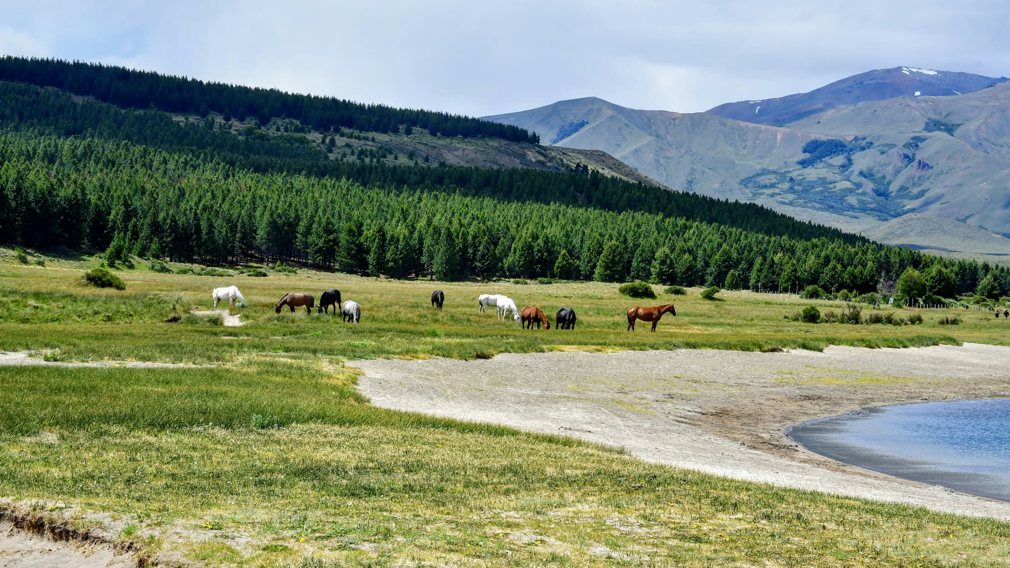 Altai Mountains on Mongolia self drive tour